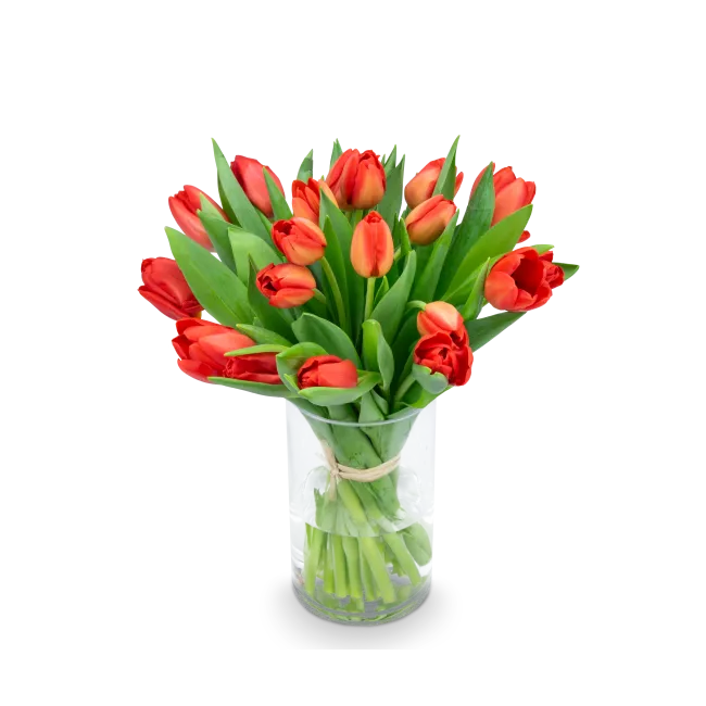 Kytice červených tulipánů